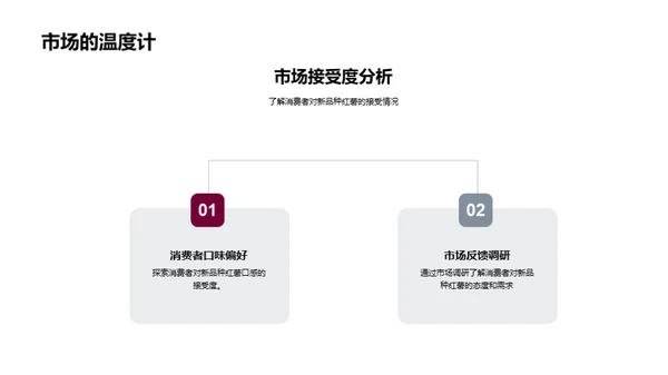 红薯新品种营销策略