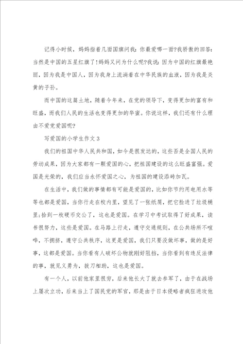 写爱国的小学生作文5篇优选范例