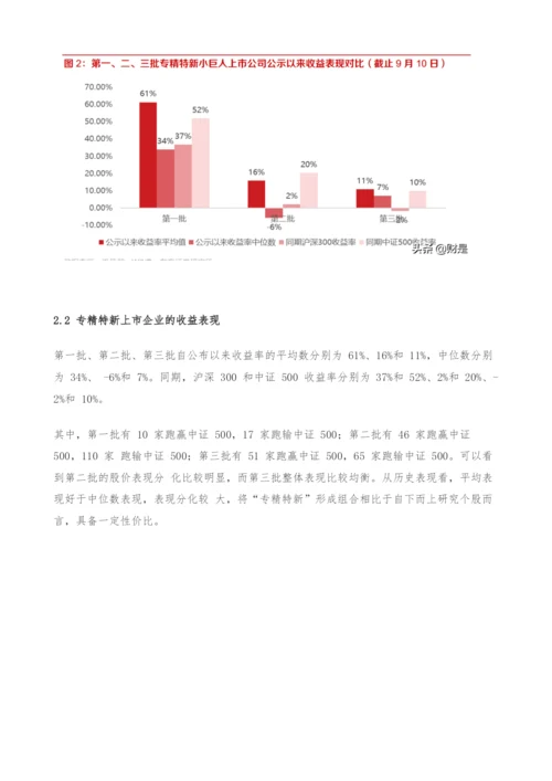 投资策略专题报告-从主题投资角度思考专精特新.docx
