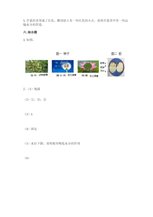 科学四年级下册第一单元植物的生长变化测试卷【达标题】.docx