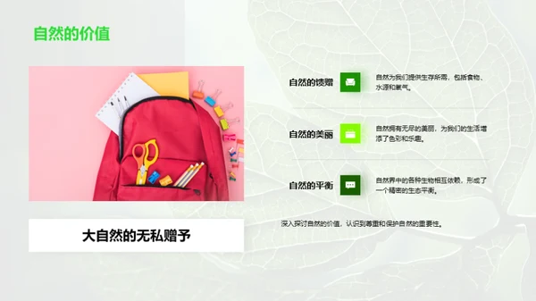 探秘植物的生命之旅