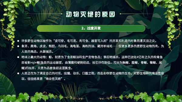 世界野生动植物日保护野生动物通用PPT模板