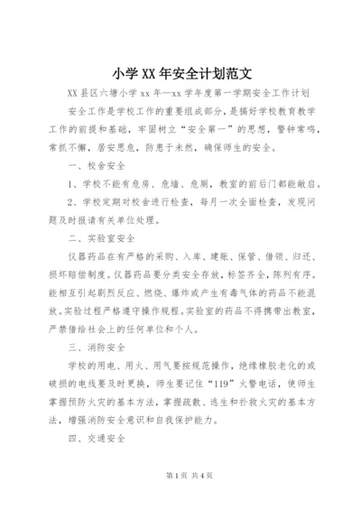 小学某年安全计划范文.docx