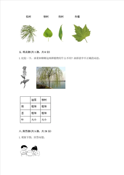 教科版一年级上册科学期末测试卷典型题