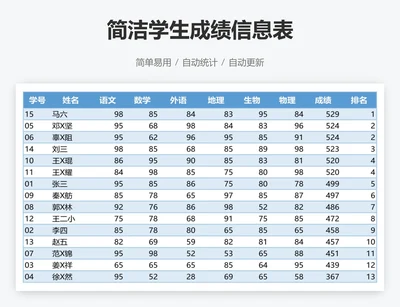 简洁学生成绩信息表