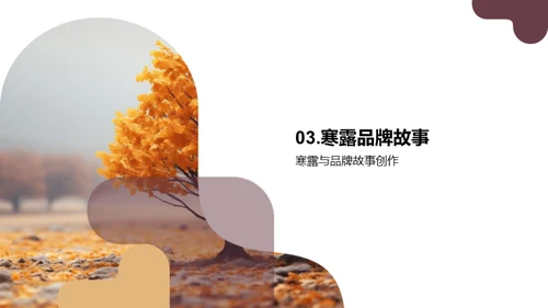 寒露节气品牌传播策略