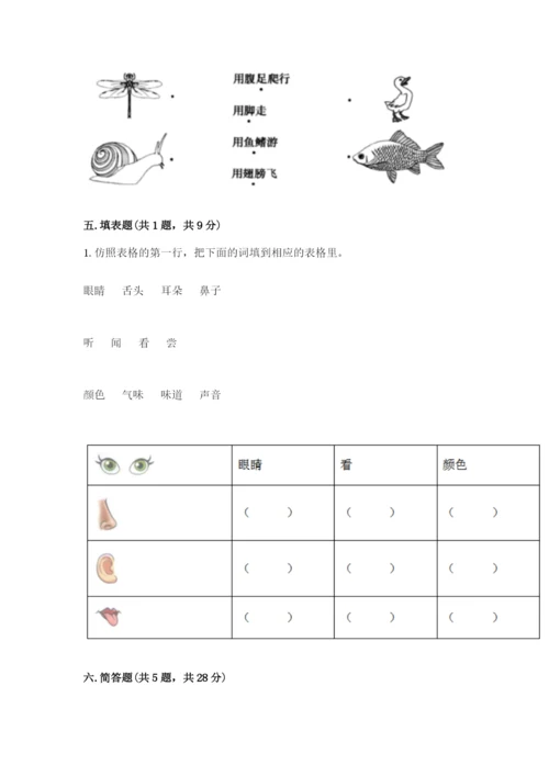 教科版一年级下册科学期末测试卷及答案【夺冠】.docx