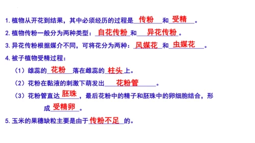 人教版七年级生物上册第三单元第一与二章复习课件(共21张PPT)