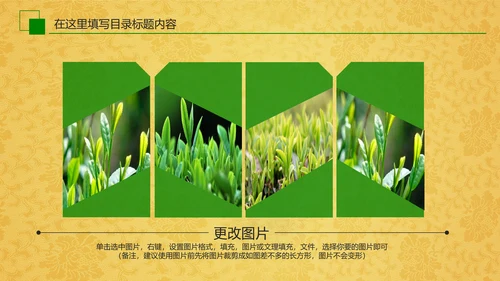 中国茶文化茶道展示茶知识PPT模板