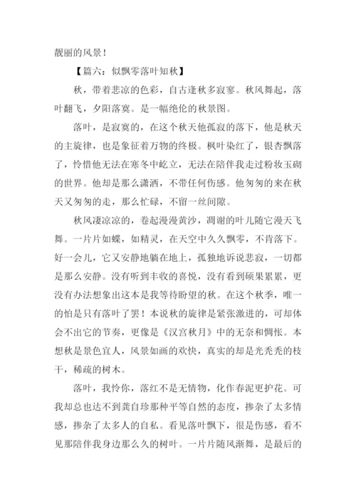落叶知秋作文-1.docx