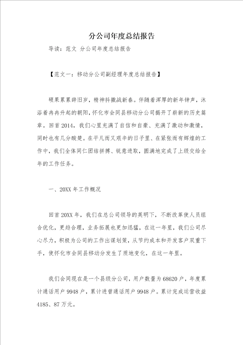 分公司年度总结报告