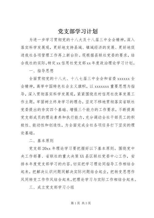 党支部学习计划.docx