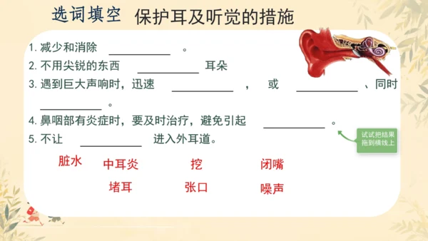 初中生物学人教版（新课程标准）七年级下册4.6.1人体对外界环境的感知课件(共33张PPT)