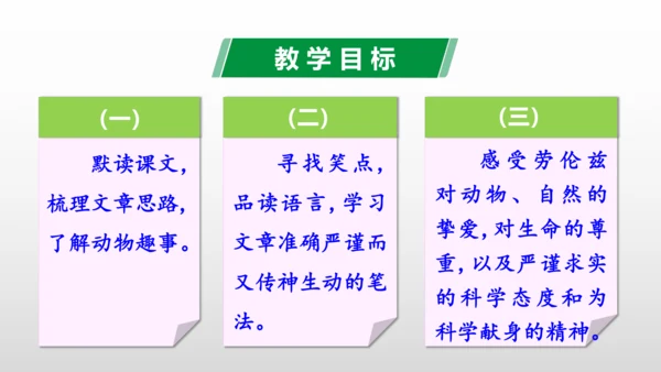 第17课 动物笑谈 课件(共28张PPT)