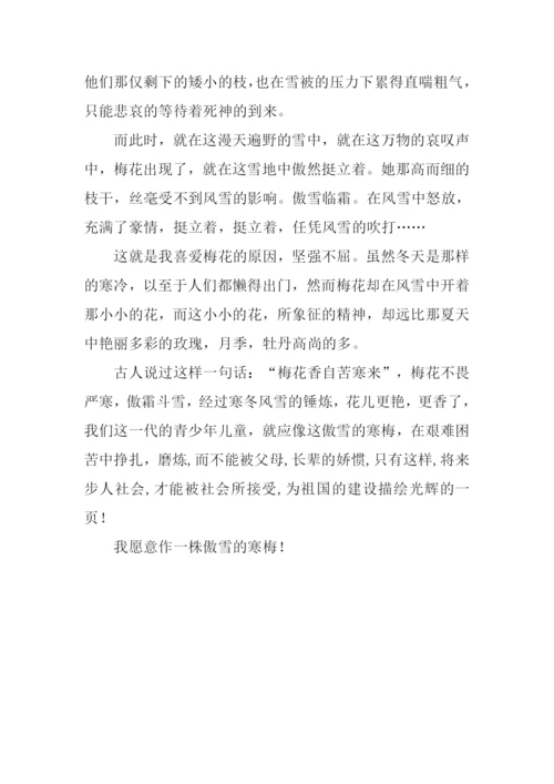 梅花的作文550字.docx