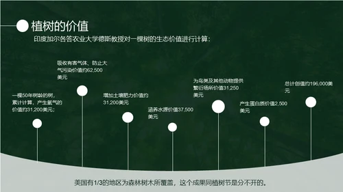 植树节认识森林保护森林主题教育通用PPT模板