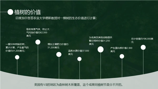 植树节认识森林保护森林主题教育通用PPT模板
