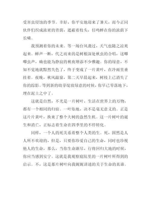 一片树叶作文-2.docx