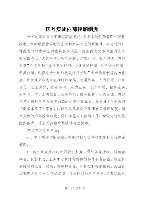 国丹集团内部控制制度.docx