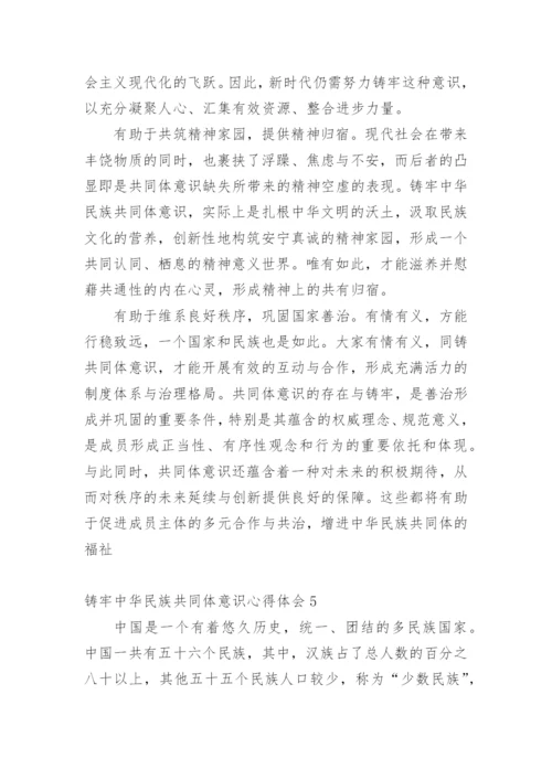 学习铸牢中华民族共同体意识心得体会.docx