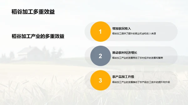 稻谷产业：农村经济新引擎