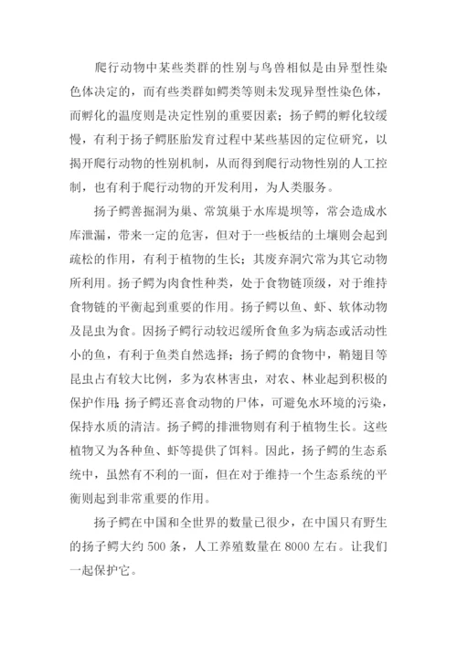 介绍扬子鳄的作文.docx