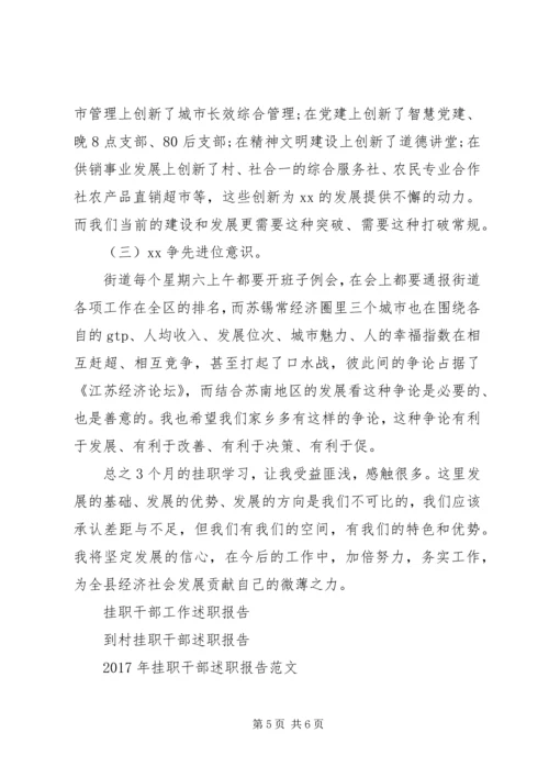 乡镇挂职干部述职报告.docx