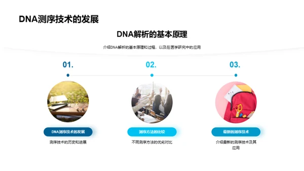 深入解析DNA