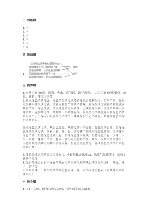 教科版科学六年级下册期末测试卷及完整答案.docx