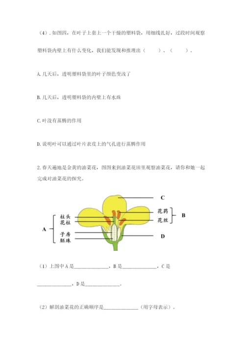 教科版科学四年级下册第一单元《植物的生长变化》测试卷精品（名师系列）.docx