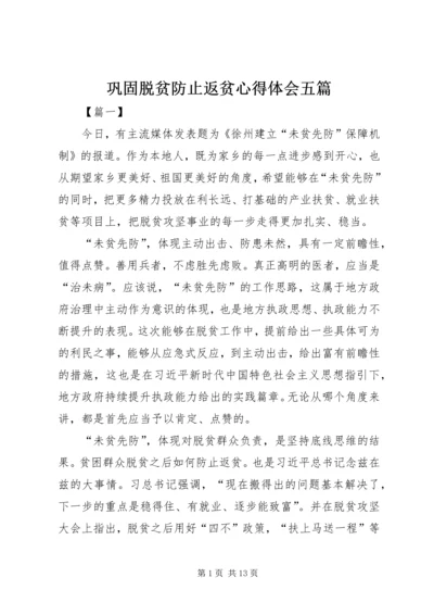 巩固脱贫防止返贫心得体会五篇.docx