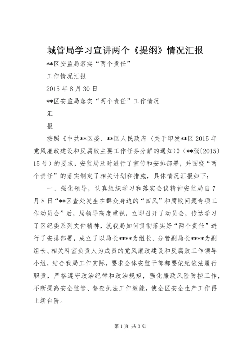 城管局学习宣讲两个《提纲》情况汇报 (6).docx