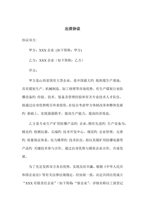 共同出资成立新公司方案.docx