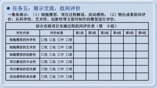 综合实践项目1制作细胞模型（课件）（人教版2024）-【跨学科实践】七年级生物上册跨学科实践备课包（