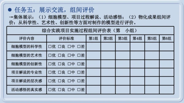 综合实践项目1制作细胞模型（课件）（人教版2024）-【跨学科实践】七年级生物上册跨学科实践备课包（