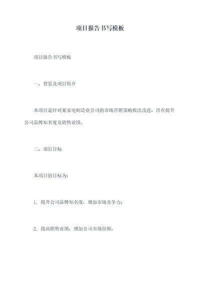 项目报告书写模板