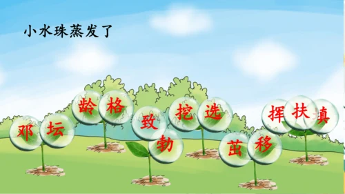 4.邓小平爷爷植树（第一课时）  课件