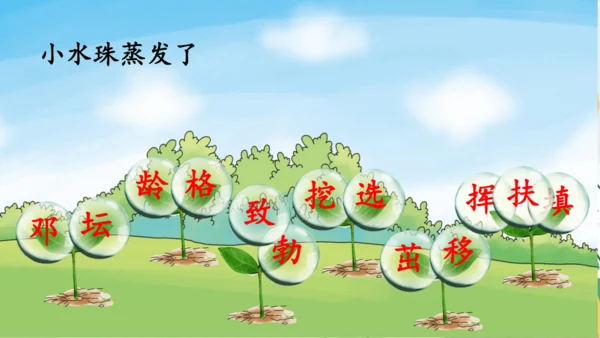 4.邓小平爷爷植树（第一课时）  课件
