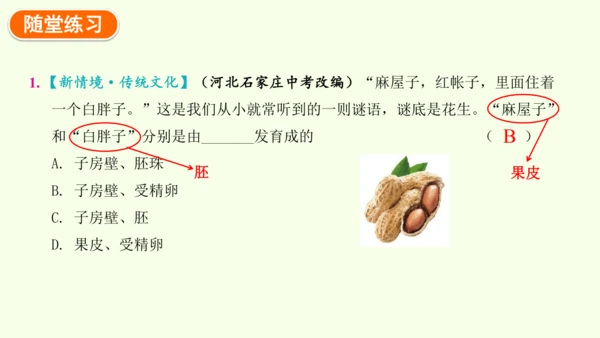 7.1.1植物的生殖-八年级生物人教版下学期同步精品课件(共33张PPT)