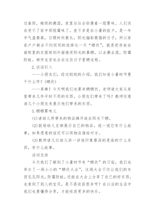 小暑节气介绍教案.docx