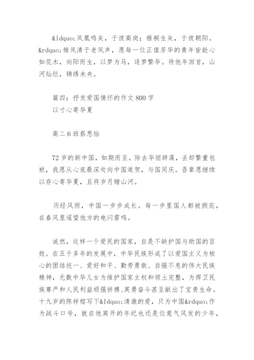 抒发爱国情怀的作文800字(精选12篇).docx