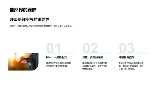 树木与环保