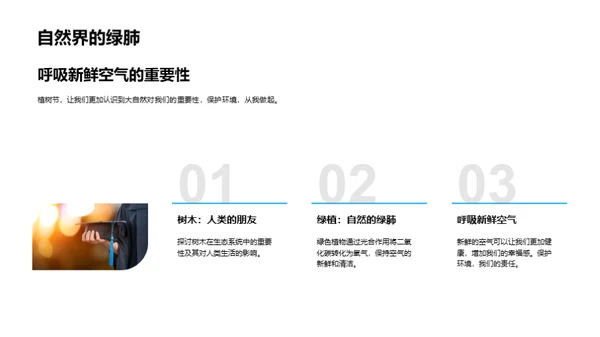 树木与环保