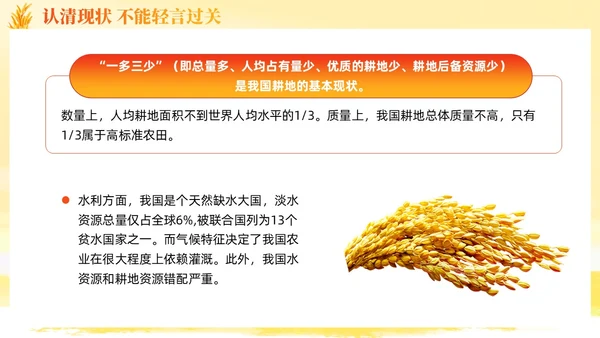 大学生形势与政策保障粮食安全的中国策ppt课件党建