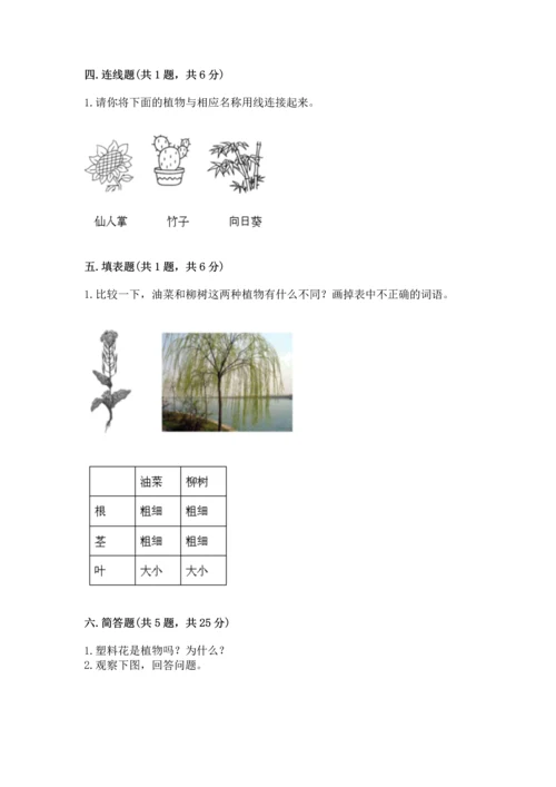 教科版一年级上册科学期末测试卷及参考答案1套.docx