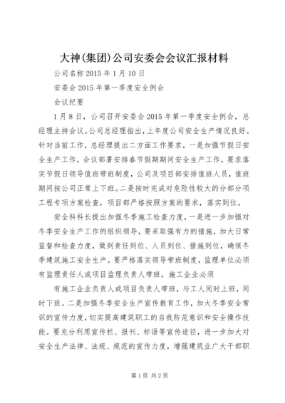 大神(集团)公司安委会会议汇报材料 (3).docx