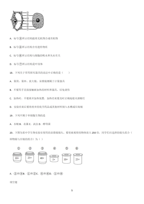 通用版初中生物七年级上册第二单元生物体的结构层次重难点归纳.docx