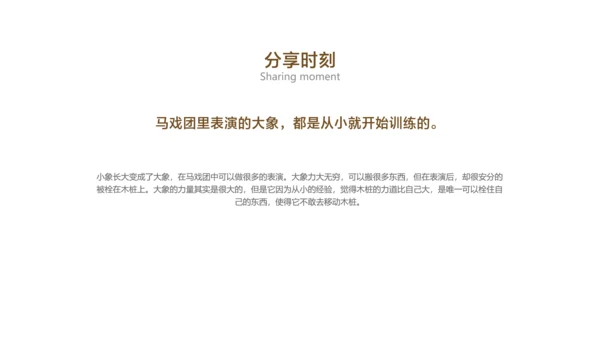 棕色简约风保险销售早会培训