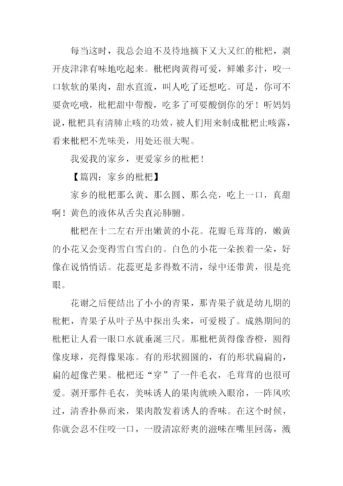 枇杷作文300字0.docx