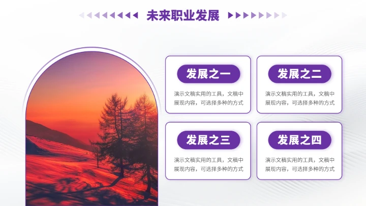 紫色高端风大学生职业生涯规划PPT模板